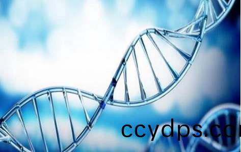 百傲2019再穫(huo)三(san)證(zheng),進(jin)入DNA免提時代