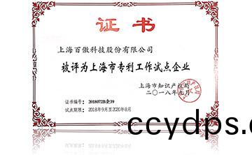 上(shang)海(hai)市專(zhuan)利(li)工作試(shi)點企業(ye)